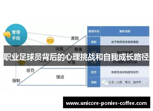 职业足球员背后的心理挑战和自我成长路径